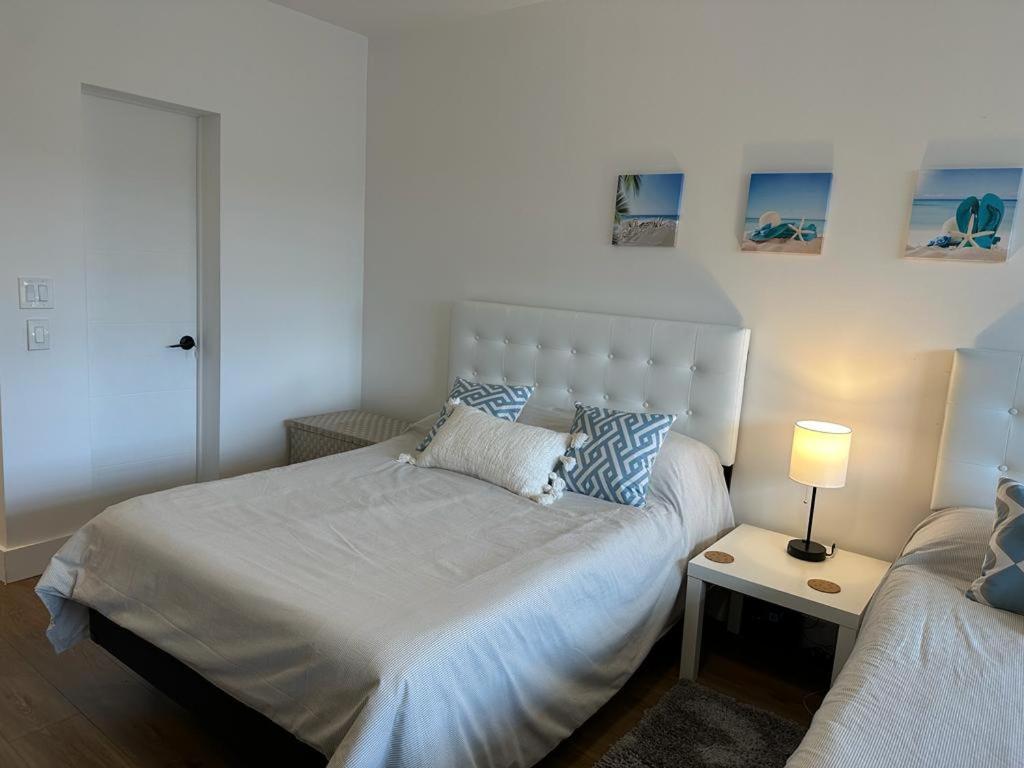 Moderno Departamento Estudio Miami Lägenhet Hallandale Beach Exteriör bild